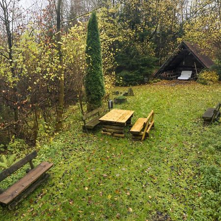 Truth Ruhe Oase, Naturblick, Smart Tv, Terrasse Brilon Esterno foto